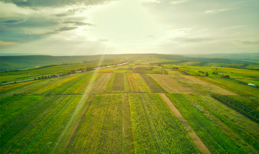 Toprağın İhtiyacı: Organik Tarım